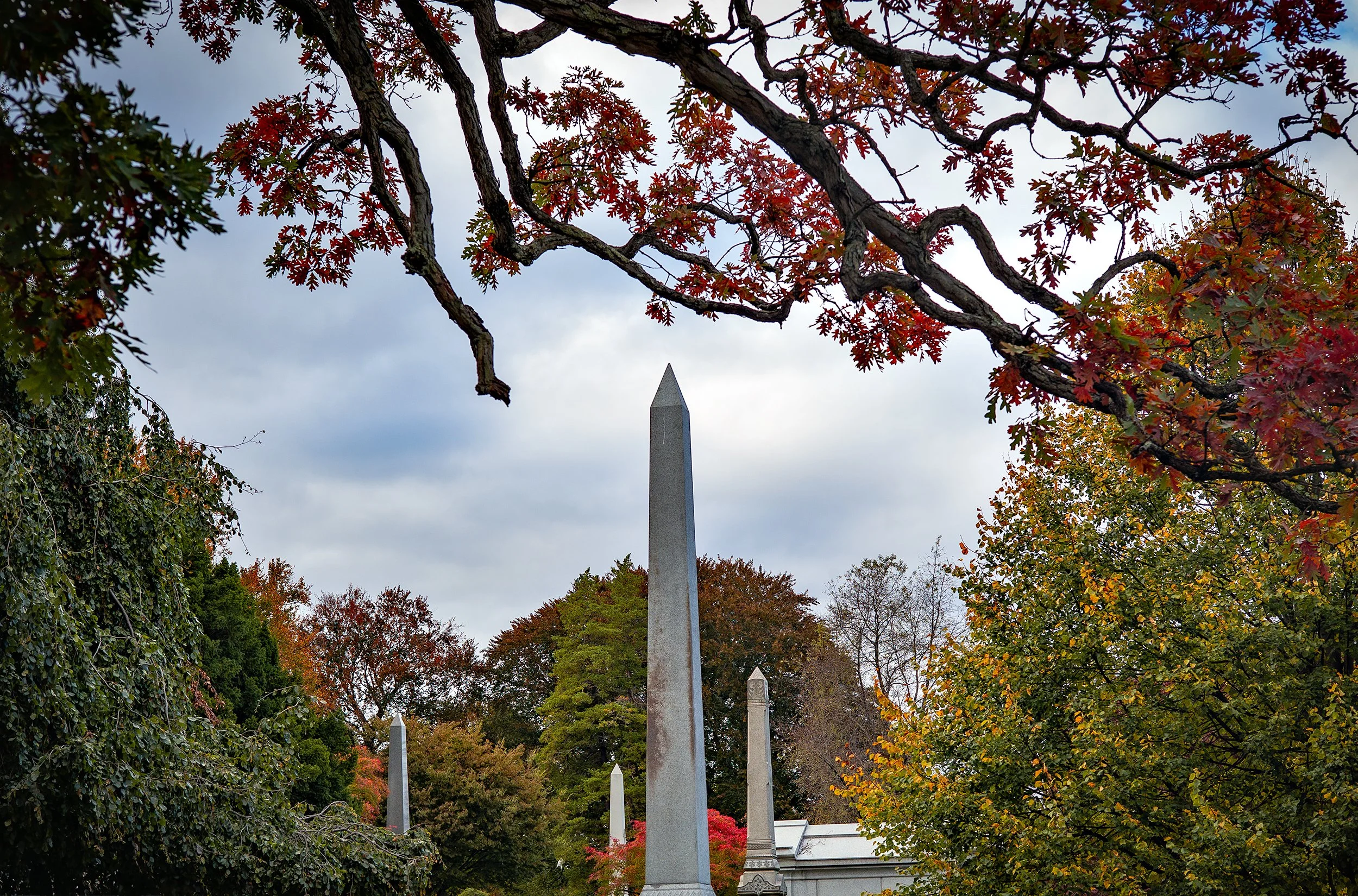 L1006084-Woodlawn.jpg