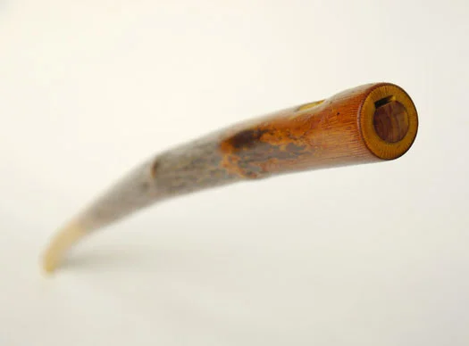 rose-branch-3.jpg