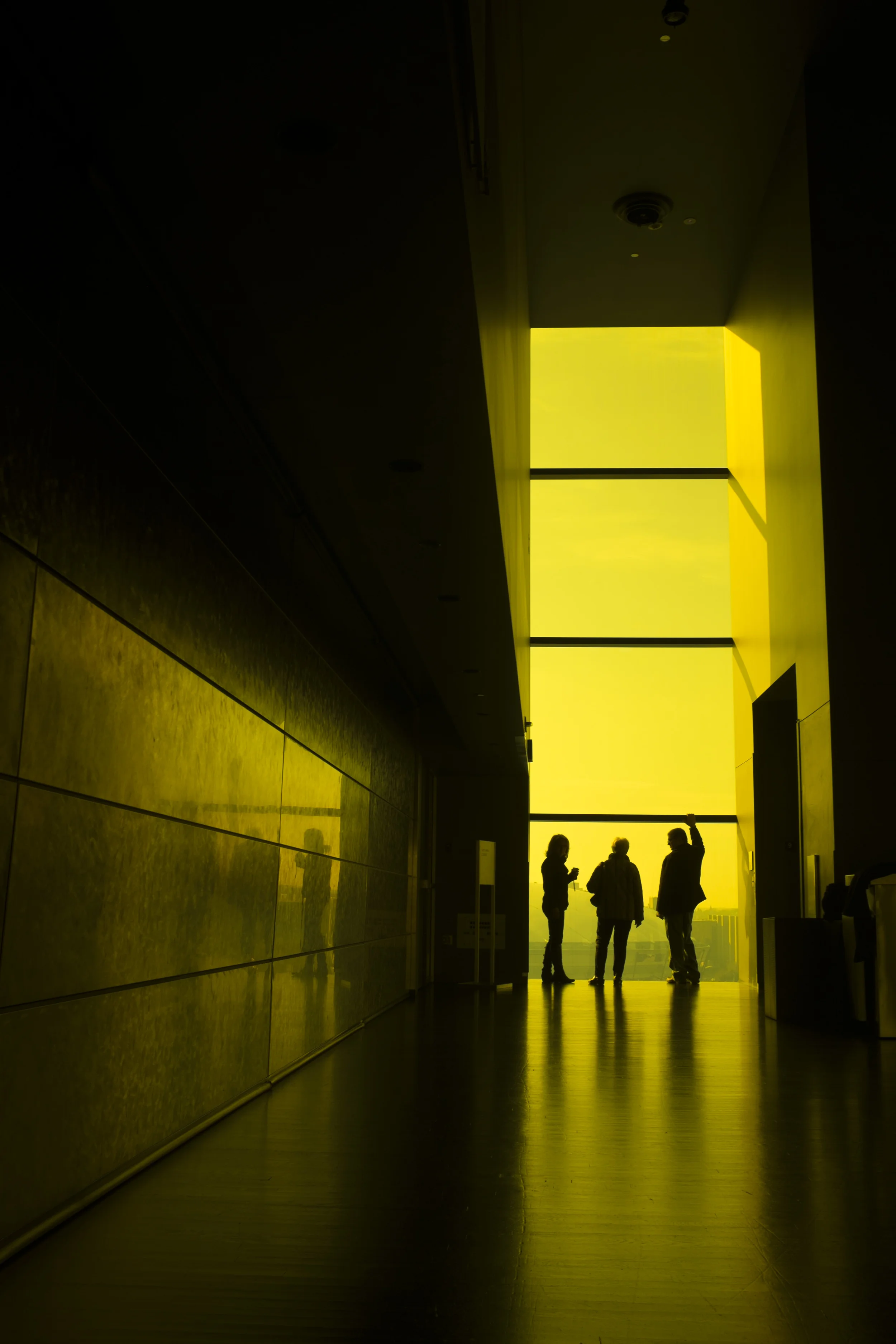 DSCF6493.jpg