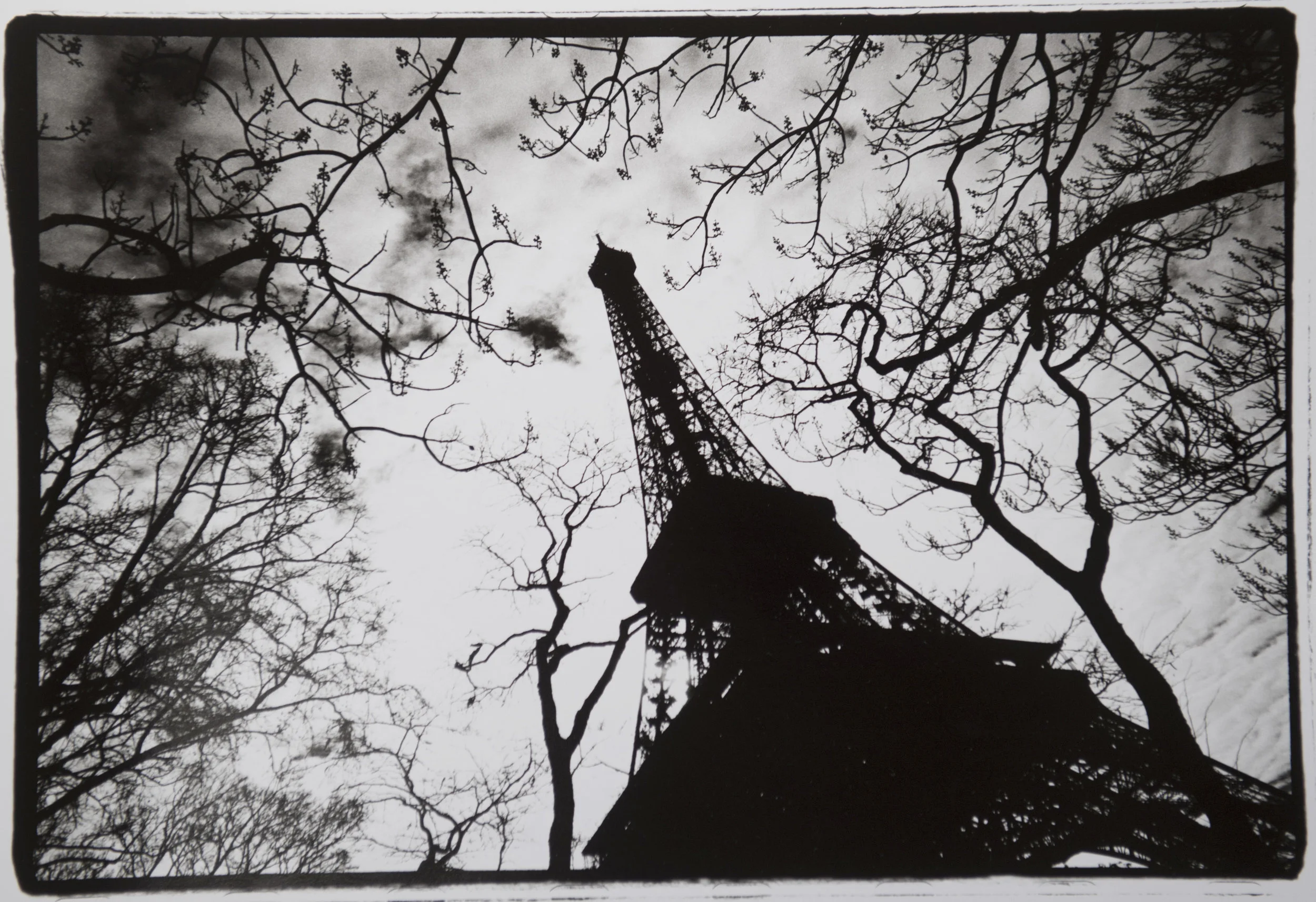 D55_0227.jpg