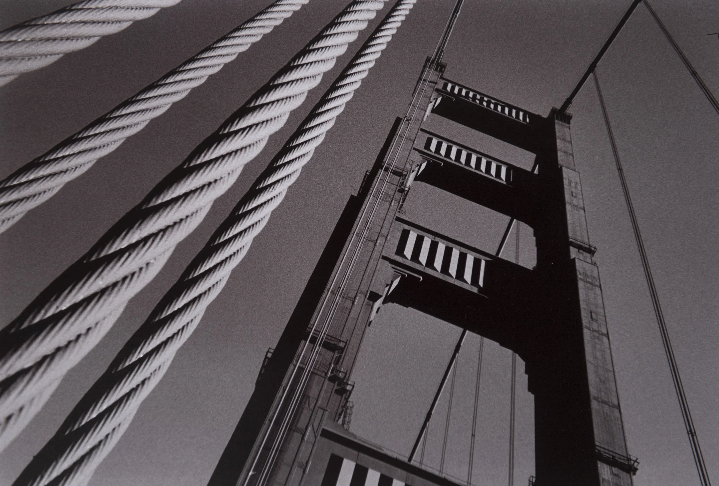D55_0239.jpg
