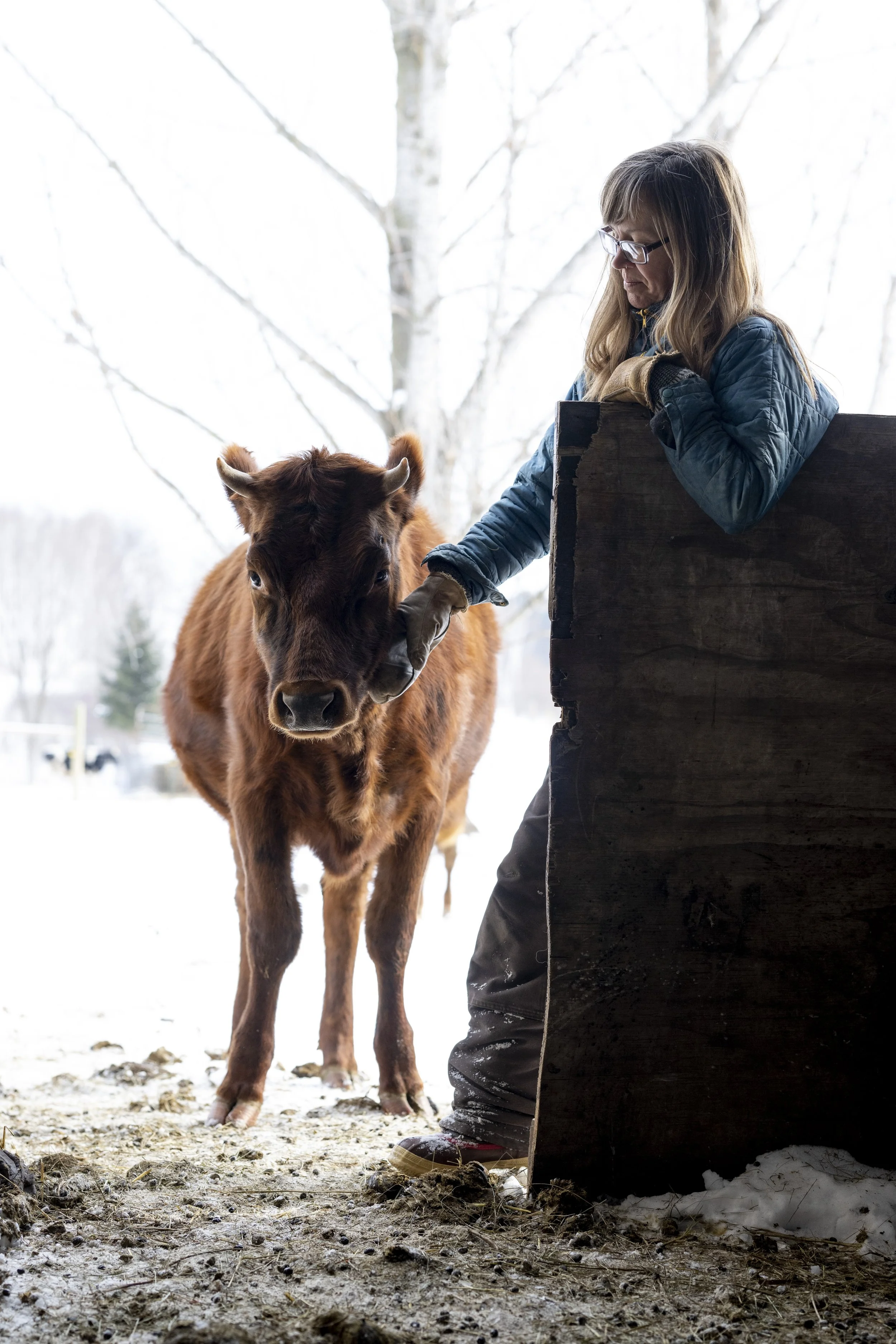 001_011_20220104_ltd_059 copy.JPG