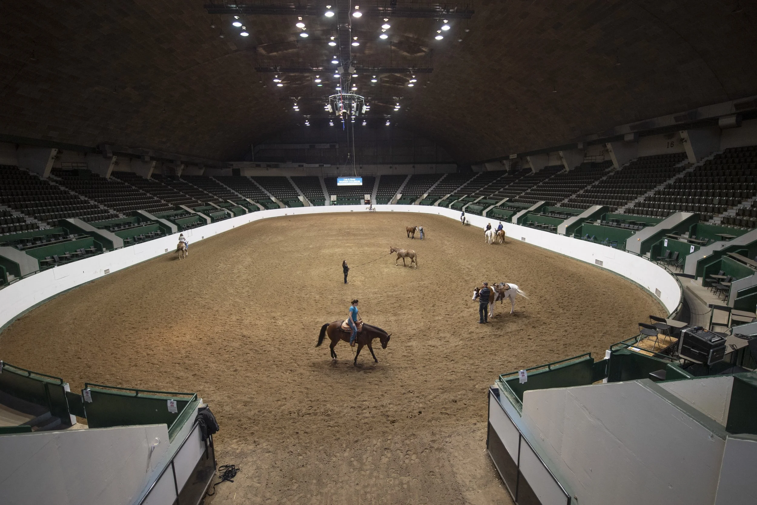 011_D55_0386_1 copy (1) copy.JPG