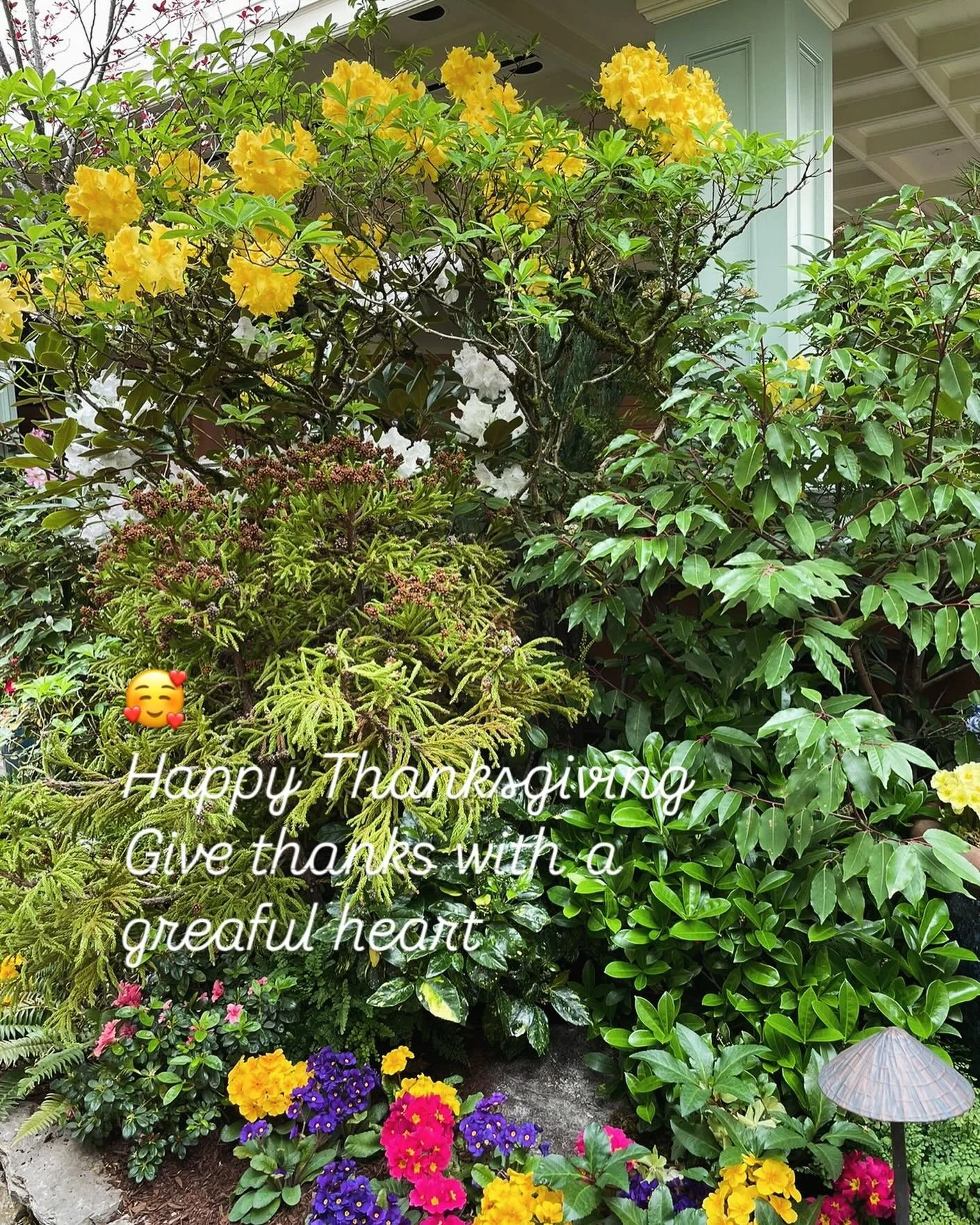 May your weekend be full of joy and peace 🥂from all of us at Alta Moda hair design THANK YOU