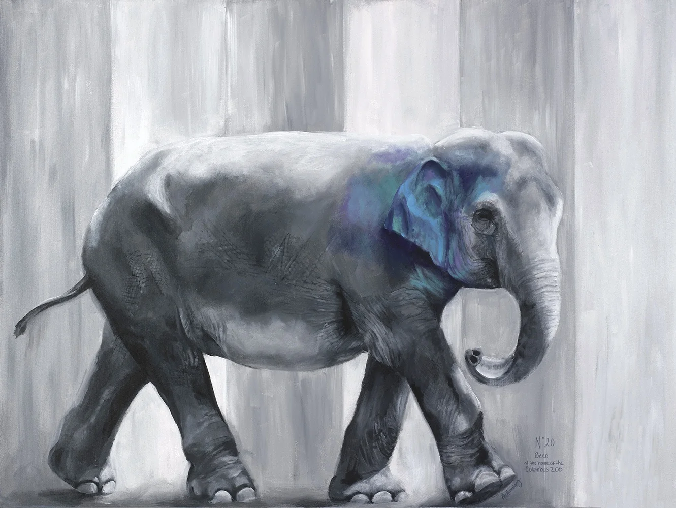 Asian Elephant