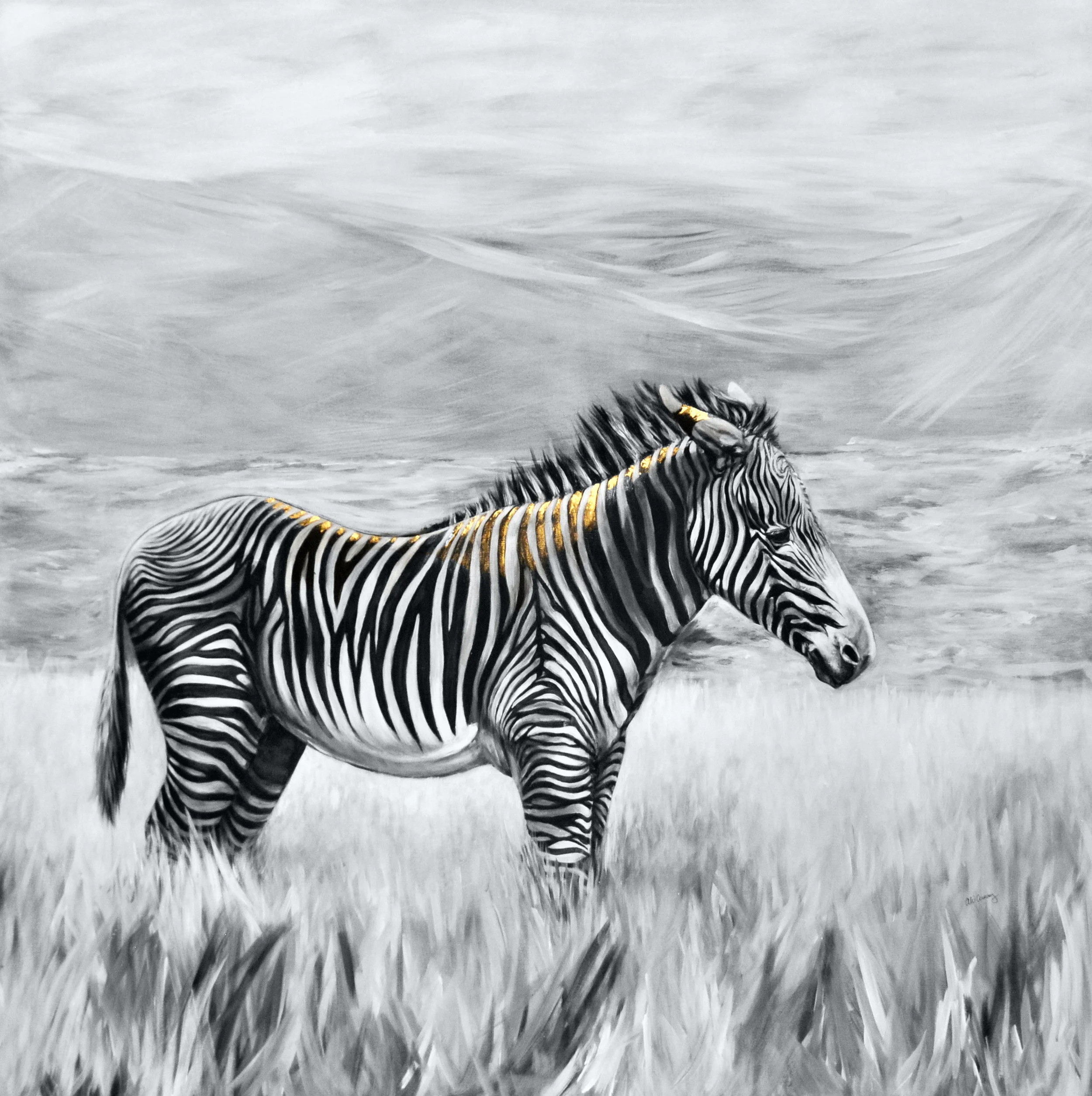 Greyv’s Zebra