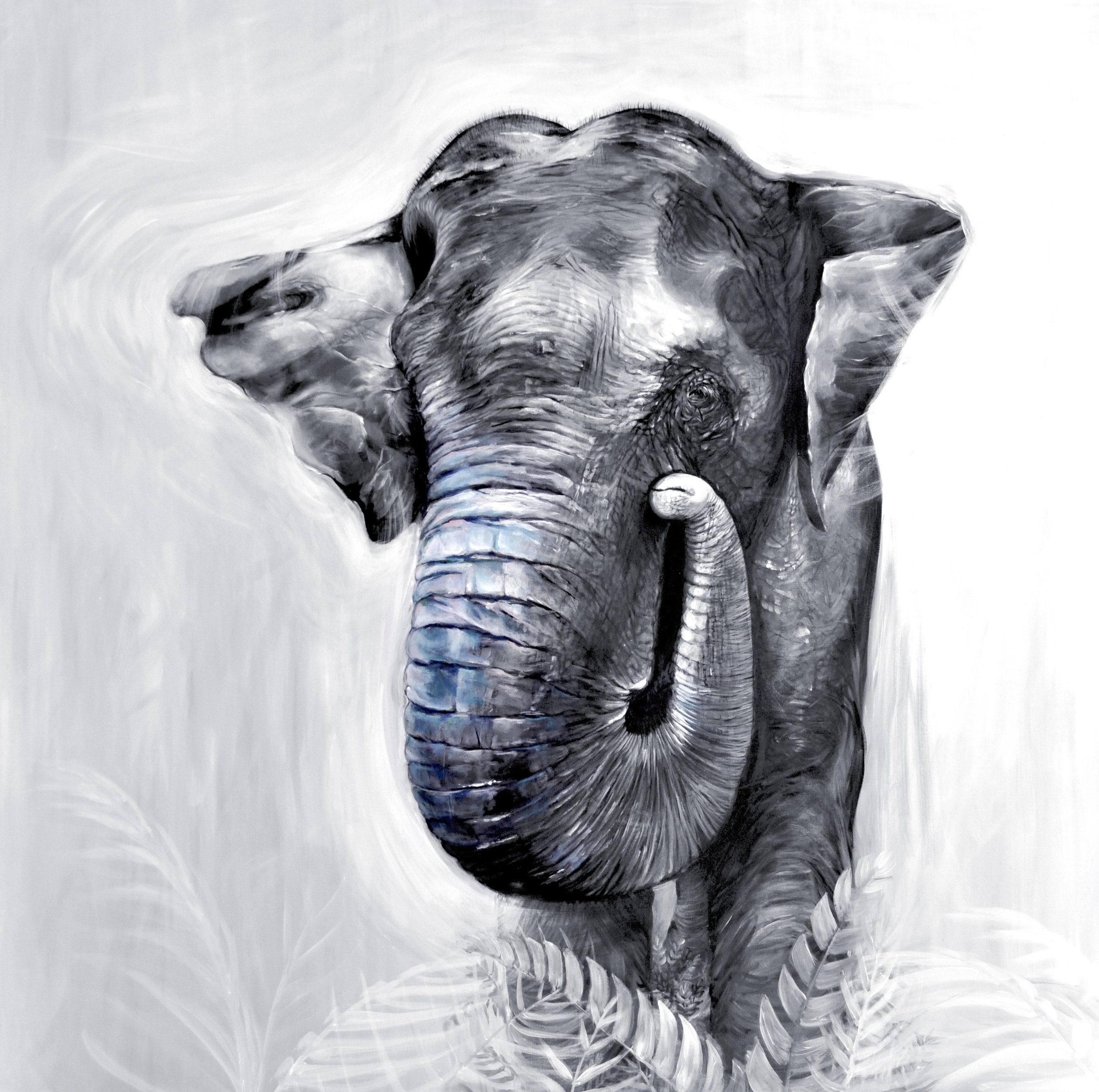asian elephant.jpg