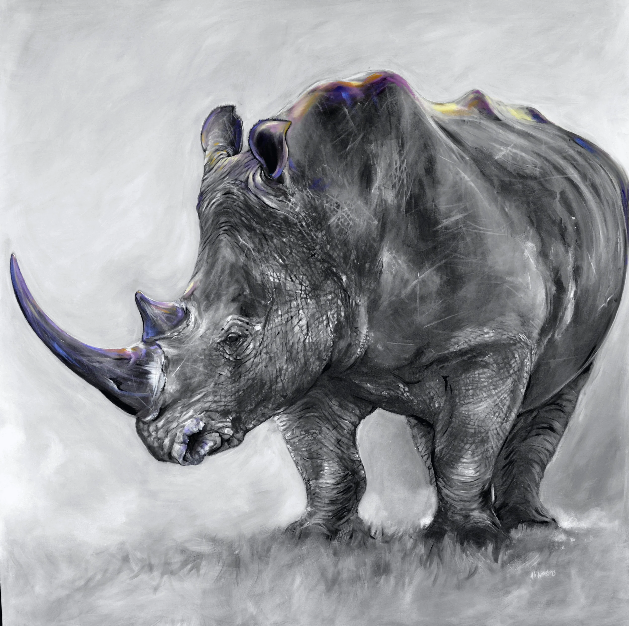 Black Rhino