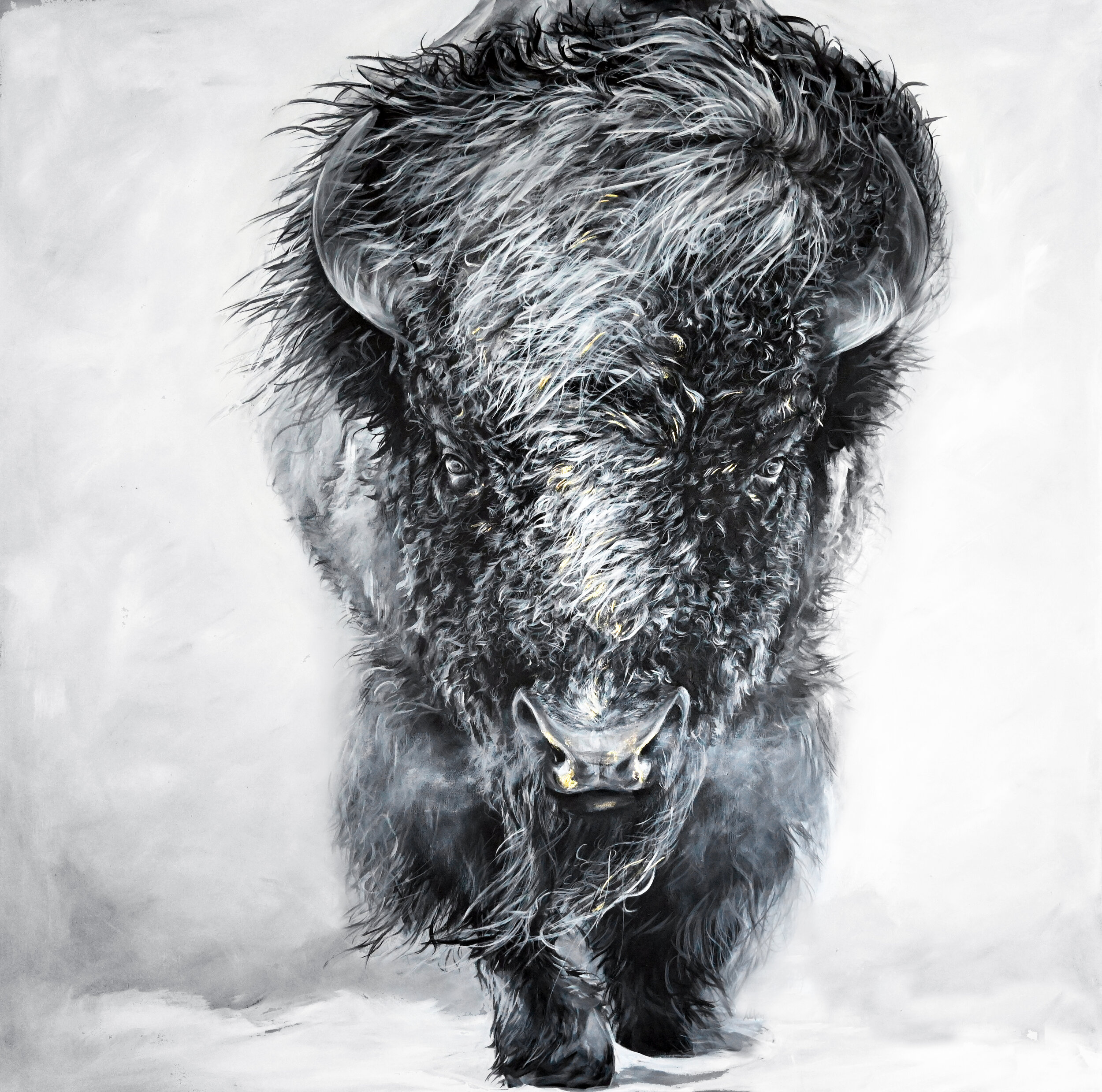 bison3 -web.jpg
