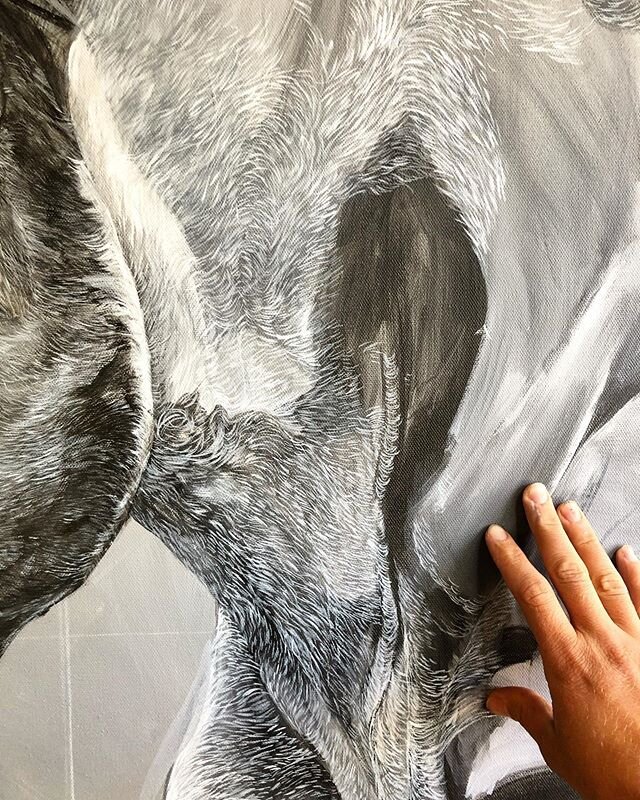 So many lines . So many directions 😅🤪
.
.
.
.
.
.
#truckeeca #truckeecalifornia #truckeelife #tahoedonner #renotahoeusa #renoart #renoartist #truckeeart #horsepaintings #horseartist #contemporarywesternart #contemporarypainting #wildlifeartistsonin