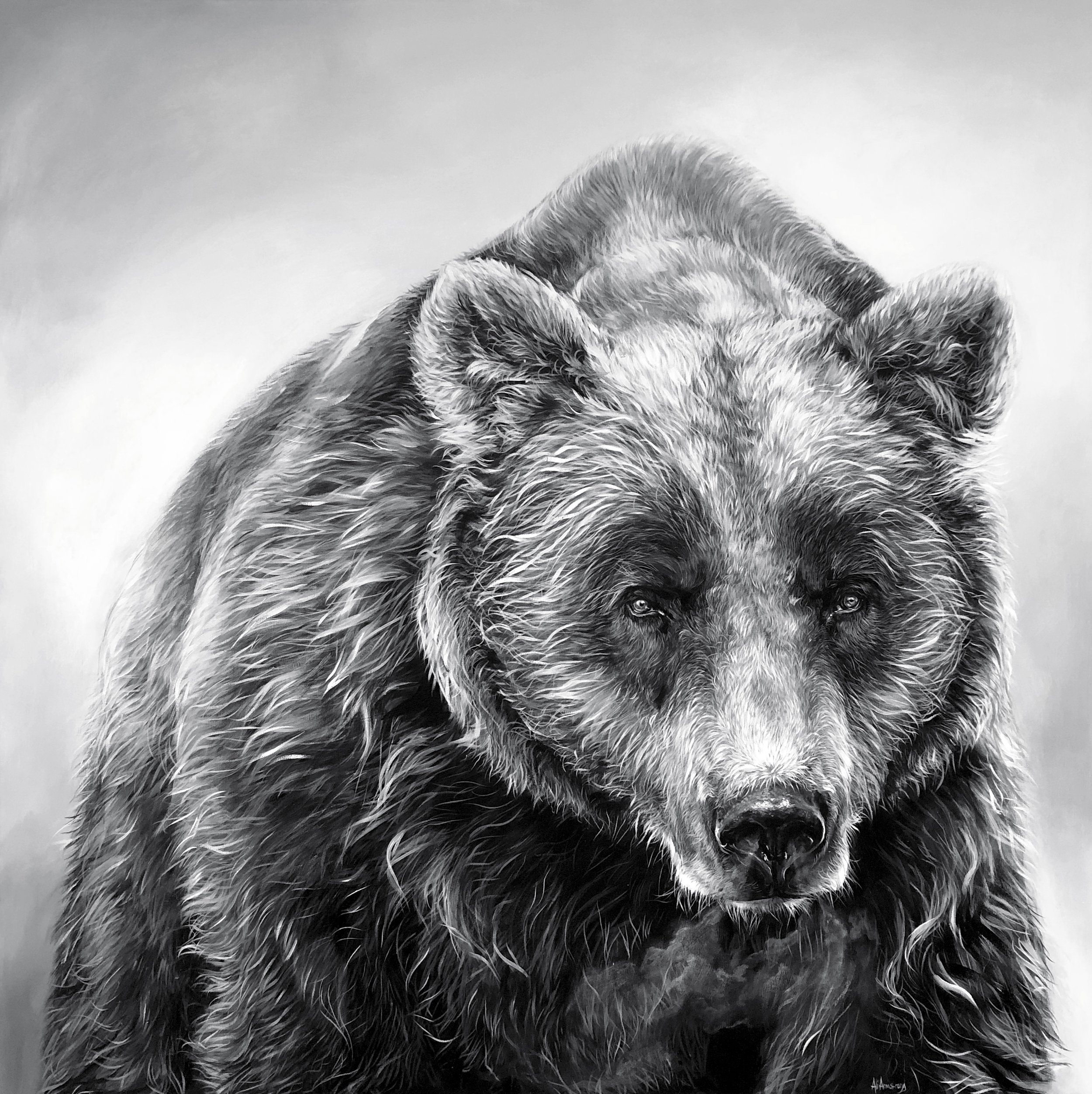 grizzlybear_Ali Armstrong.jpg
