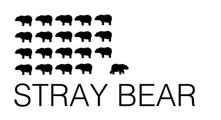 Stray Bear