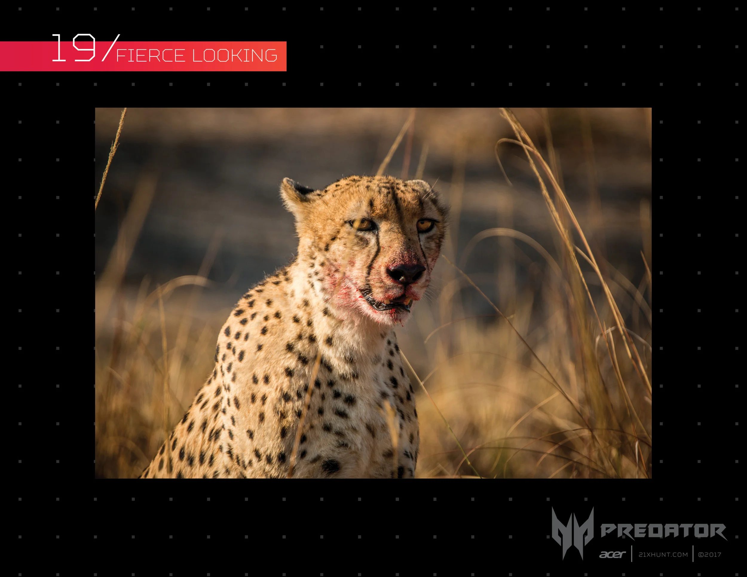 ACER_21XHUNT_19.jpg