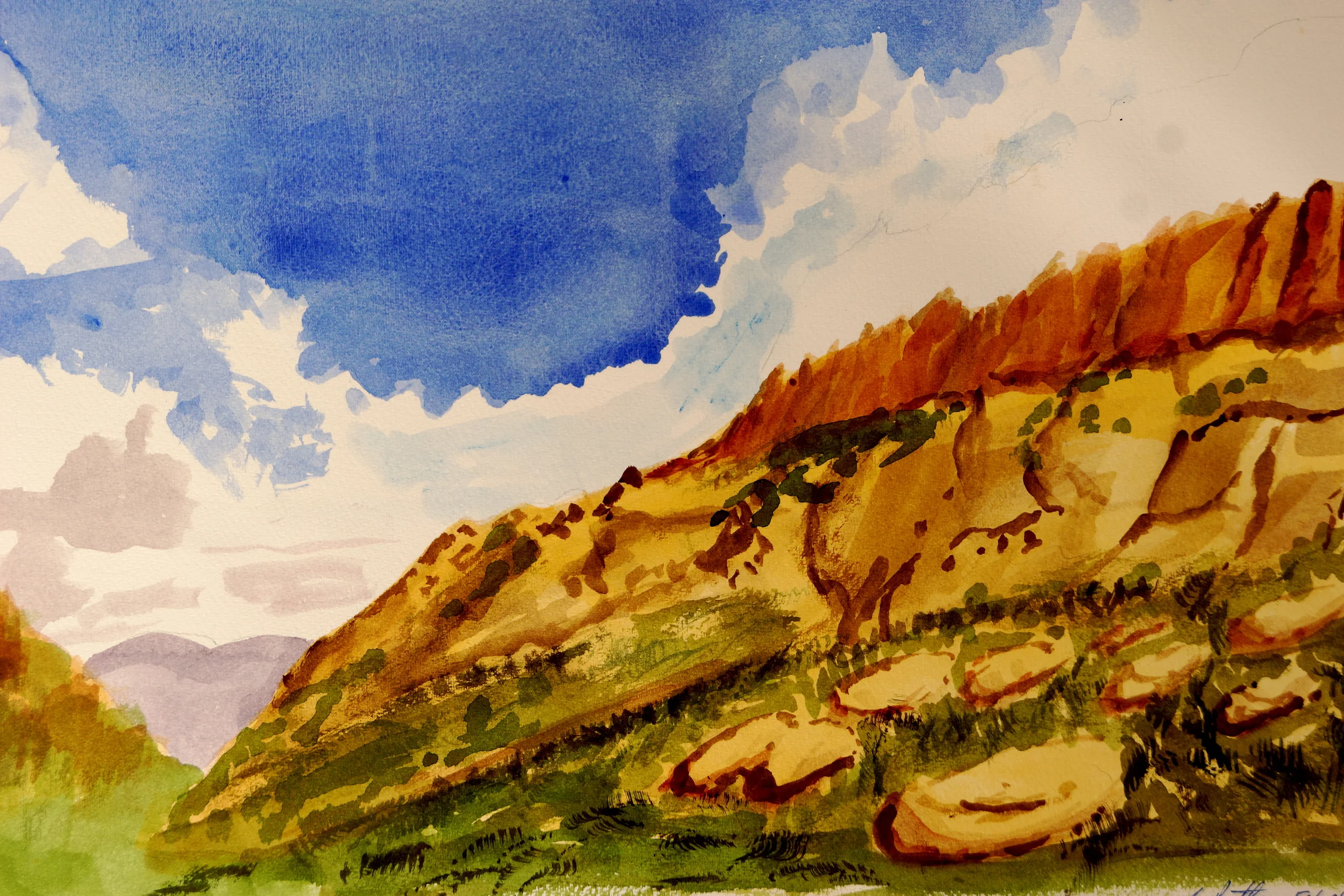 Desert Study