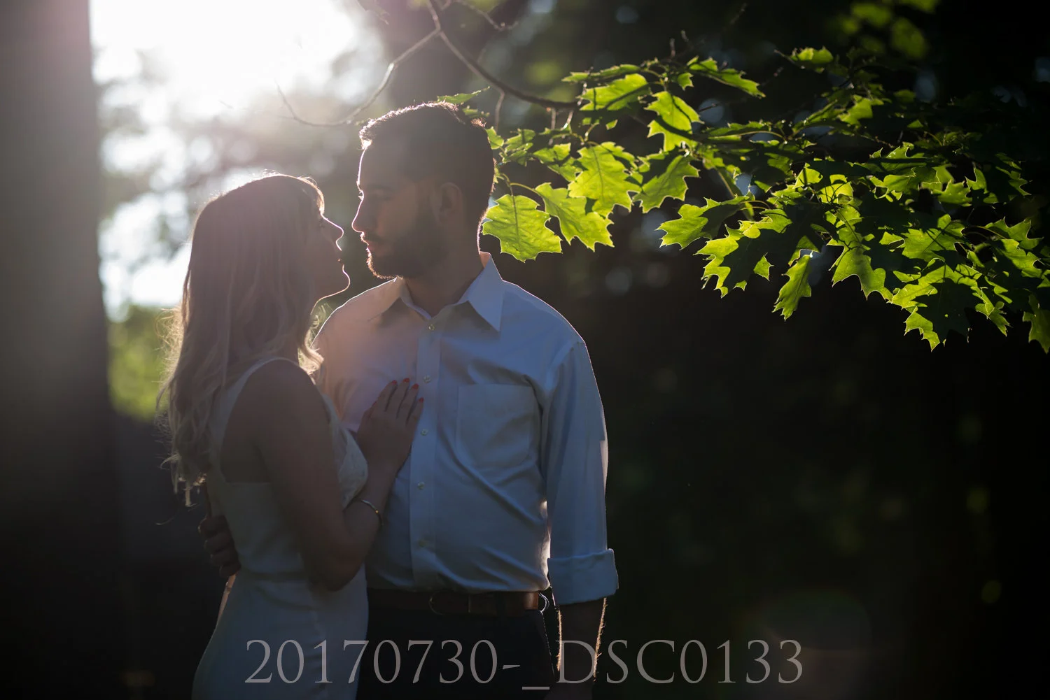 20170730-_DSC0133.jpg