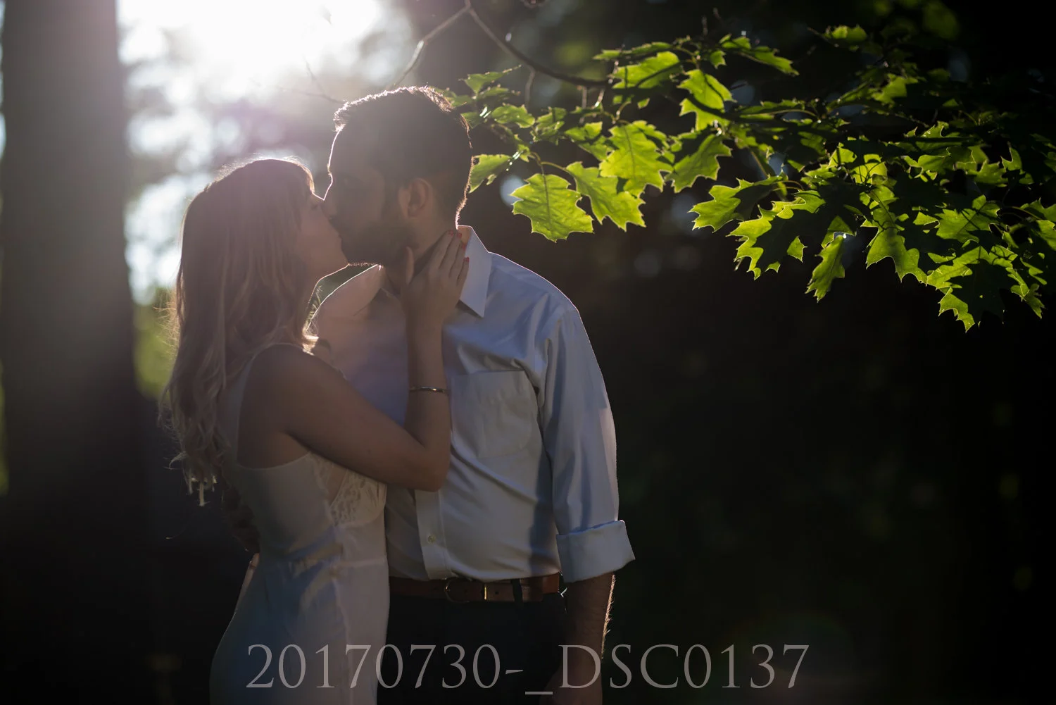 20170730-_DSC0137.jpg