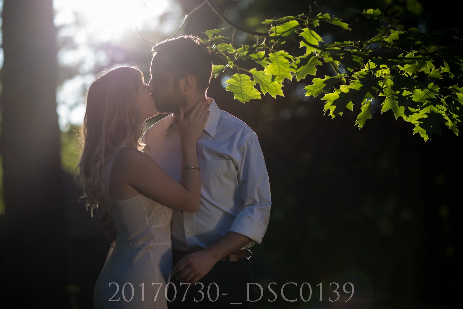 20170730-_DSC0139.jpg