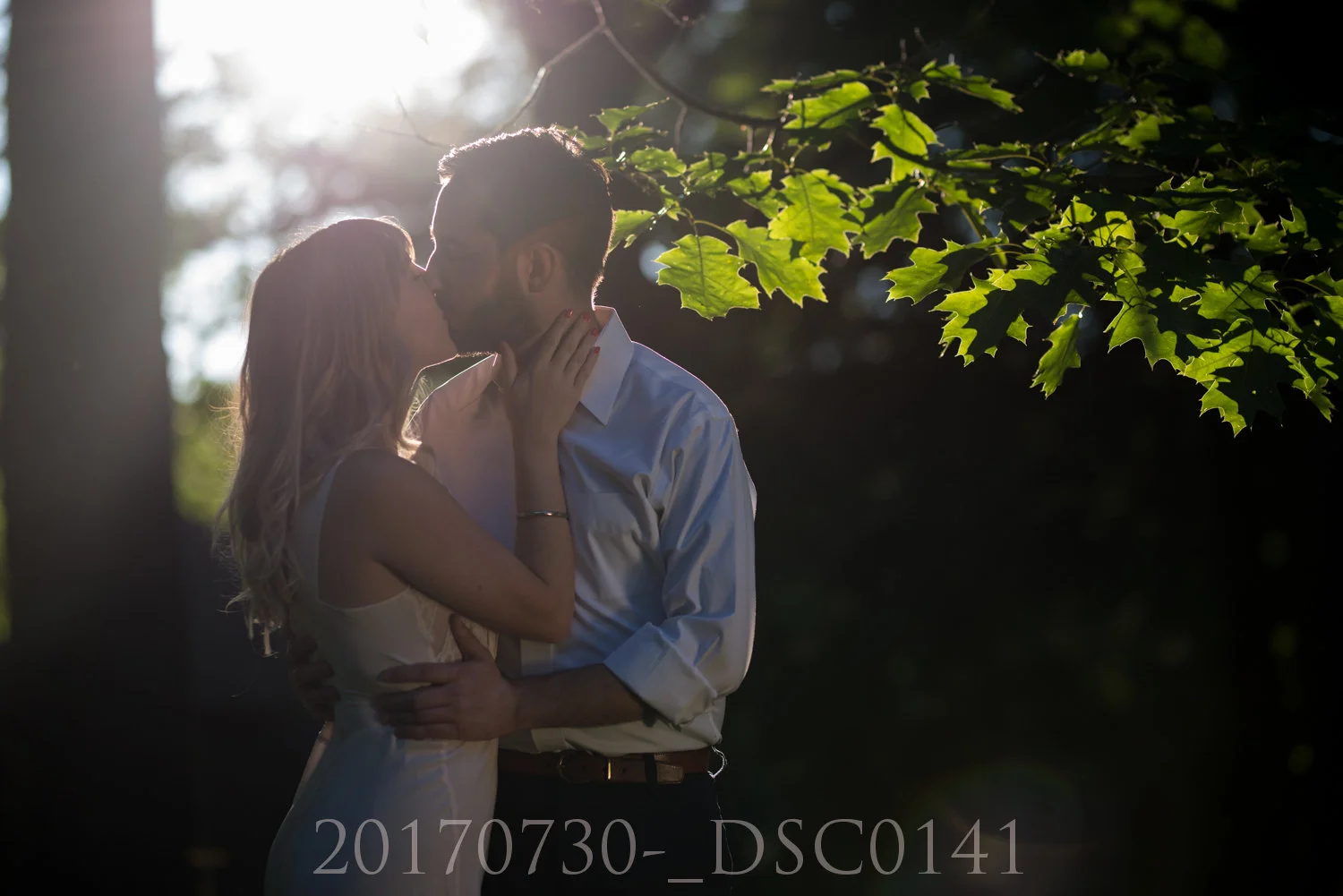 20170730-_DSC0141.jpg