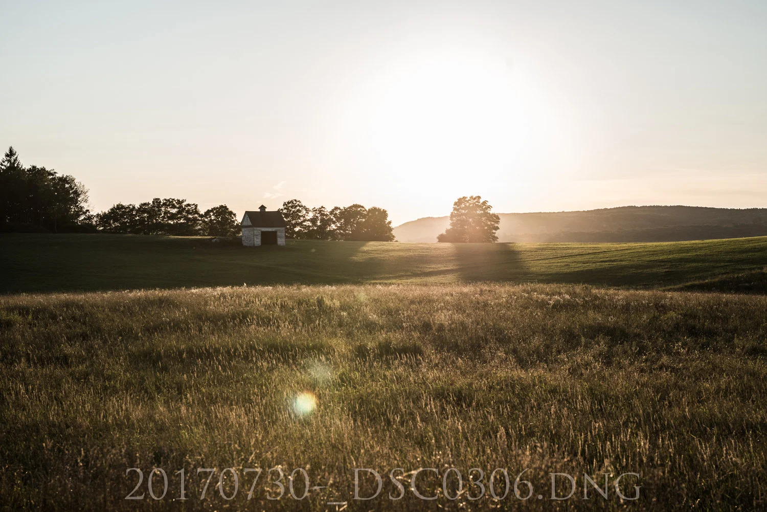 20170730-_DSC0306.jpg