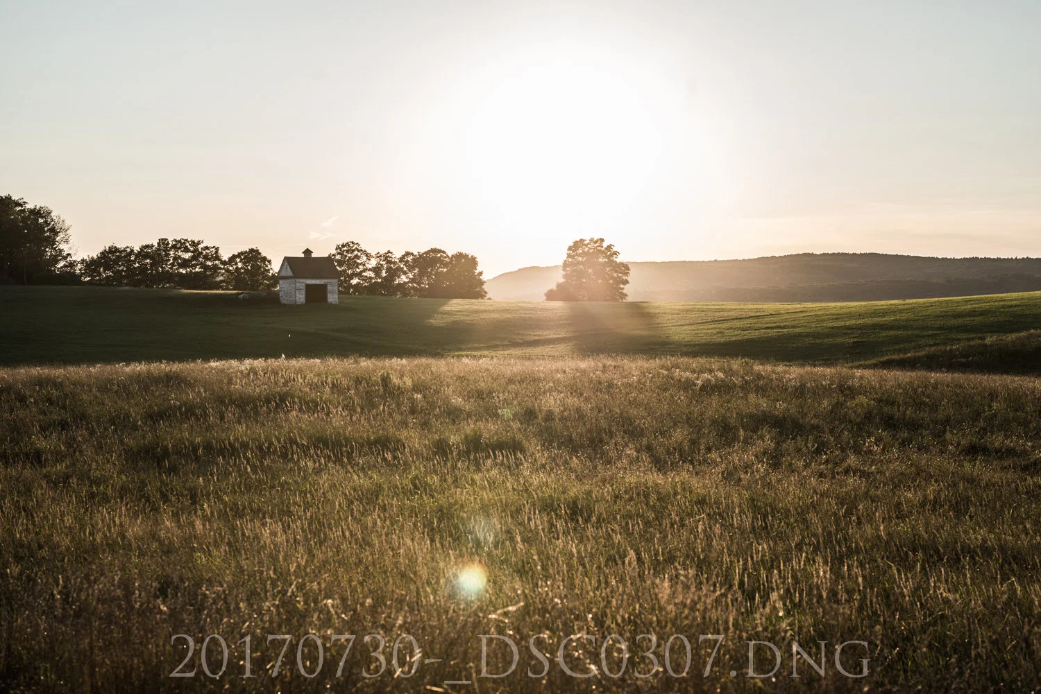 20170730-_DSC0307.jpg