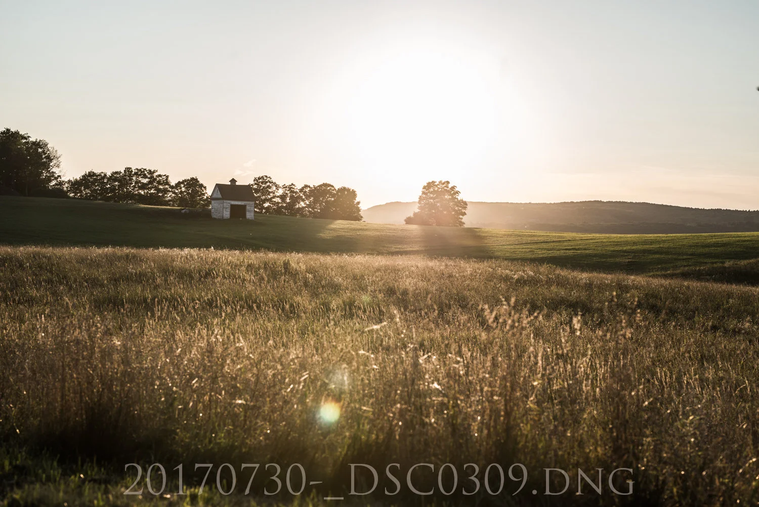 20170730-_DSC0309.jpg