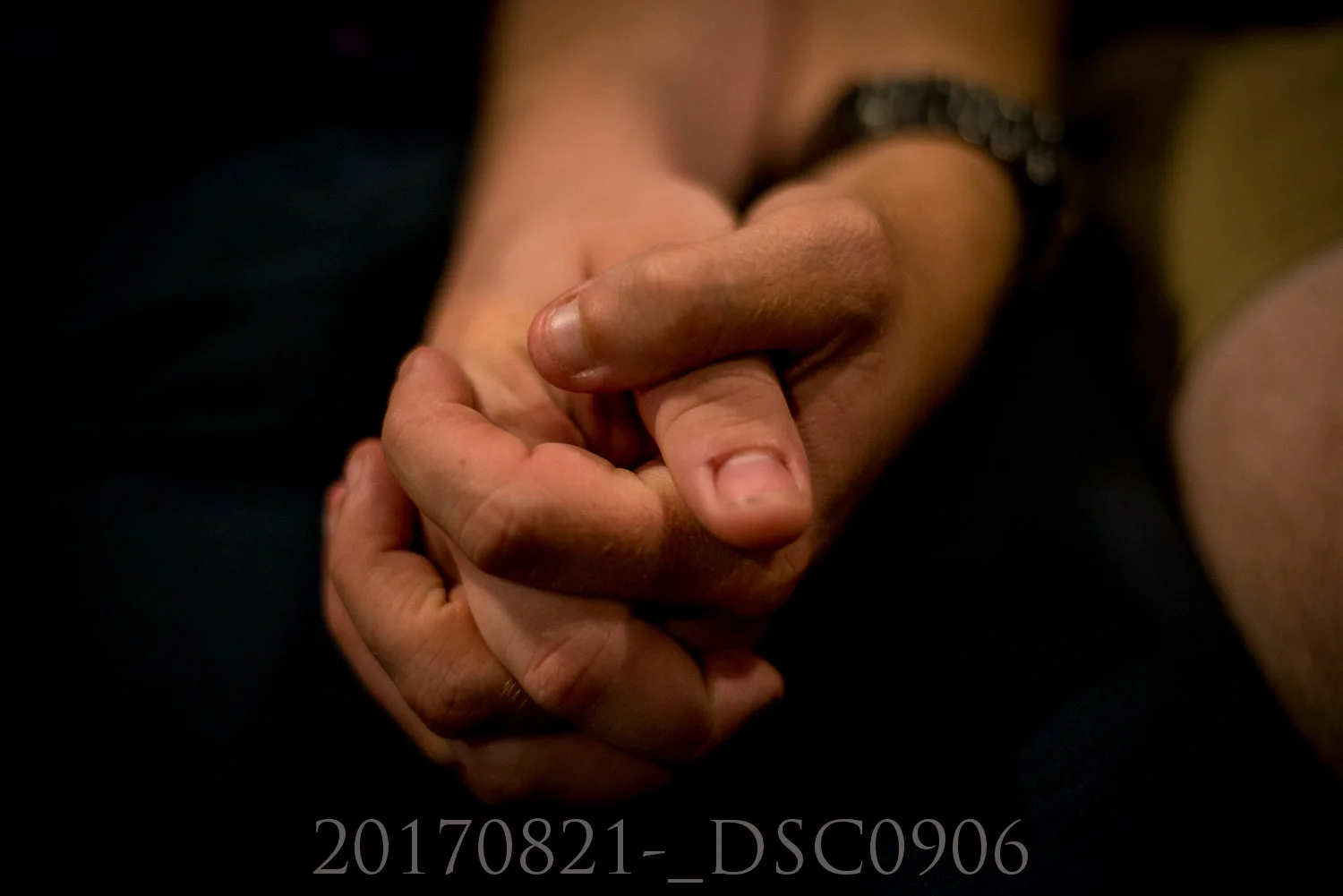 20170821-_DSC0906.jpg