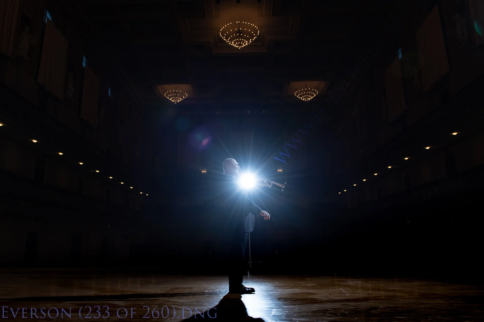 Terry_Everson_Trumpet_By_Toby_Oft-219.jpg