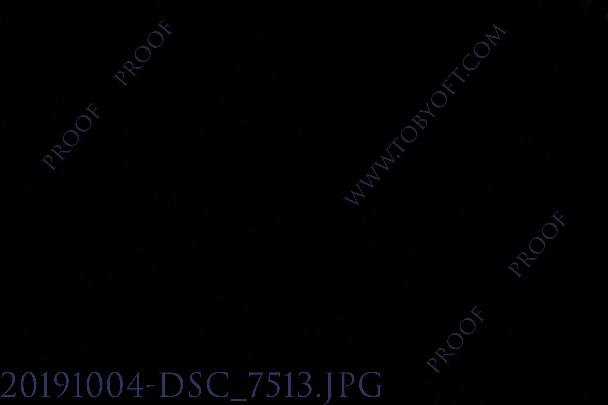 20191004-DSC_7513.jpg