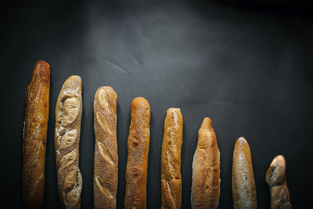 CITY PAPER: "The Best Bread Begins in South Philly"