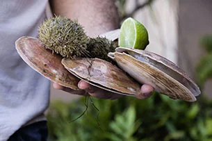 DRINK ME: "48 Hours In: San Juan"