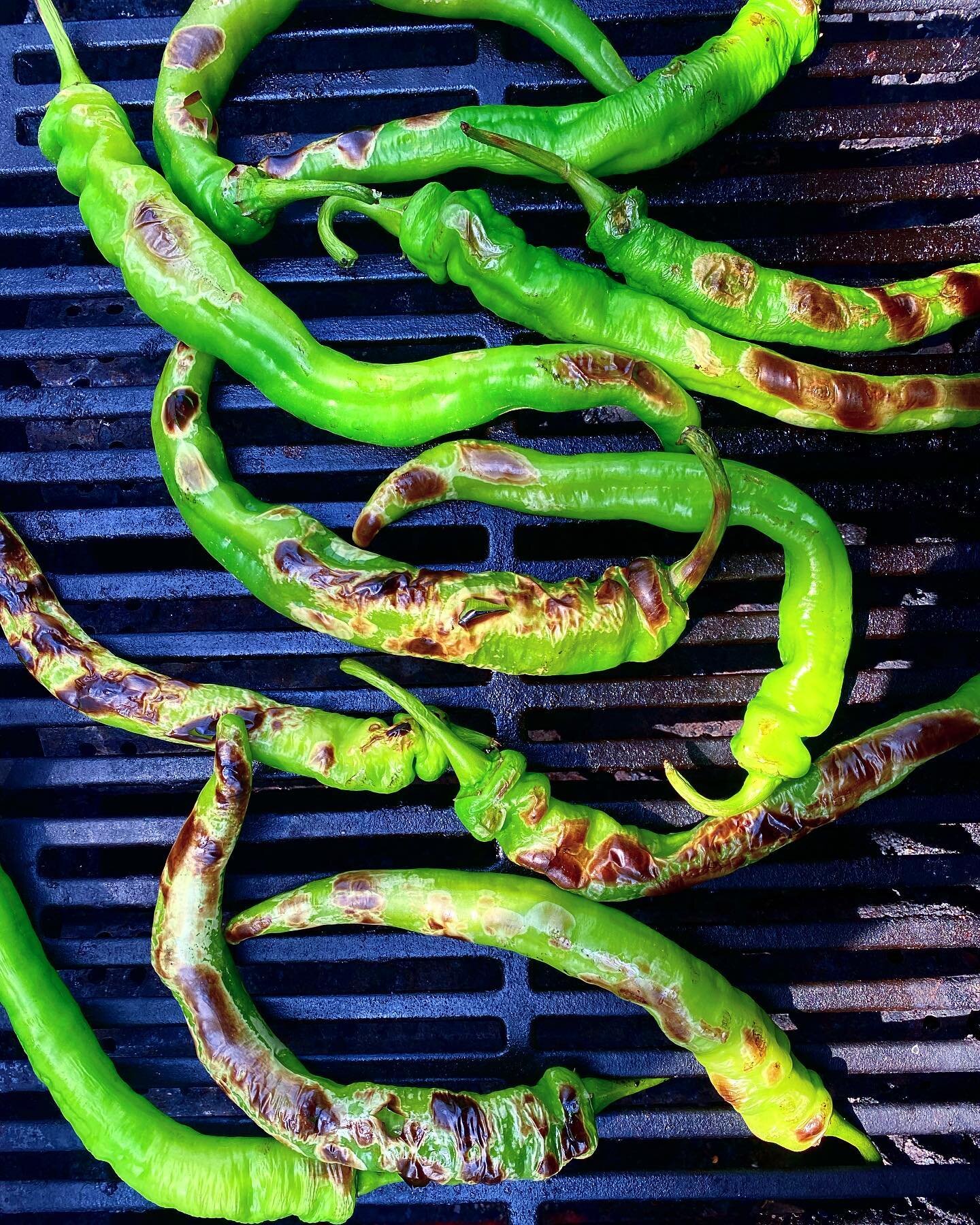 From the farmers&rsquo; market straight to the grill. I&rsquo;ll pack these charred @summer_wind_farms long hots sott&rsquo;olio with garlic and herbs so I&rsquo;ll have them long after summer is over.