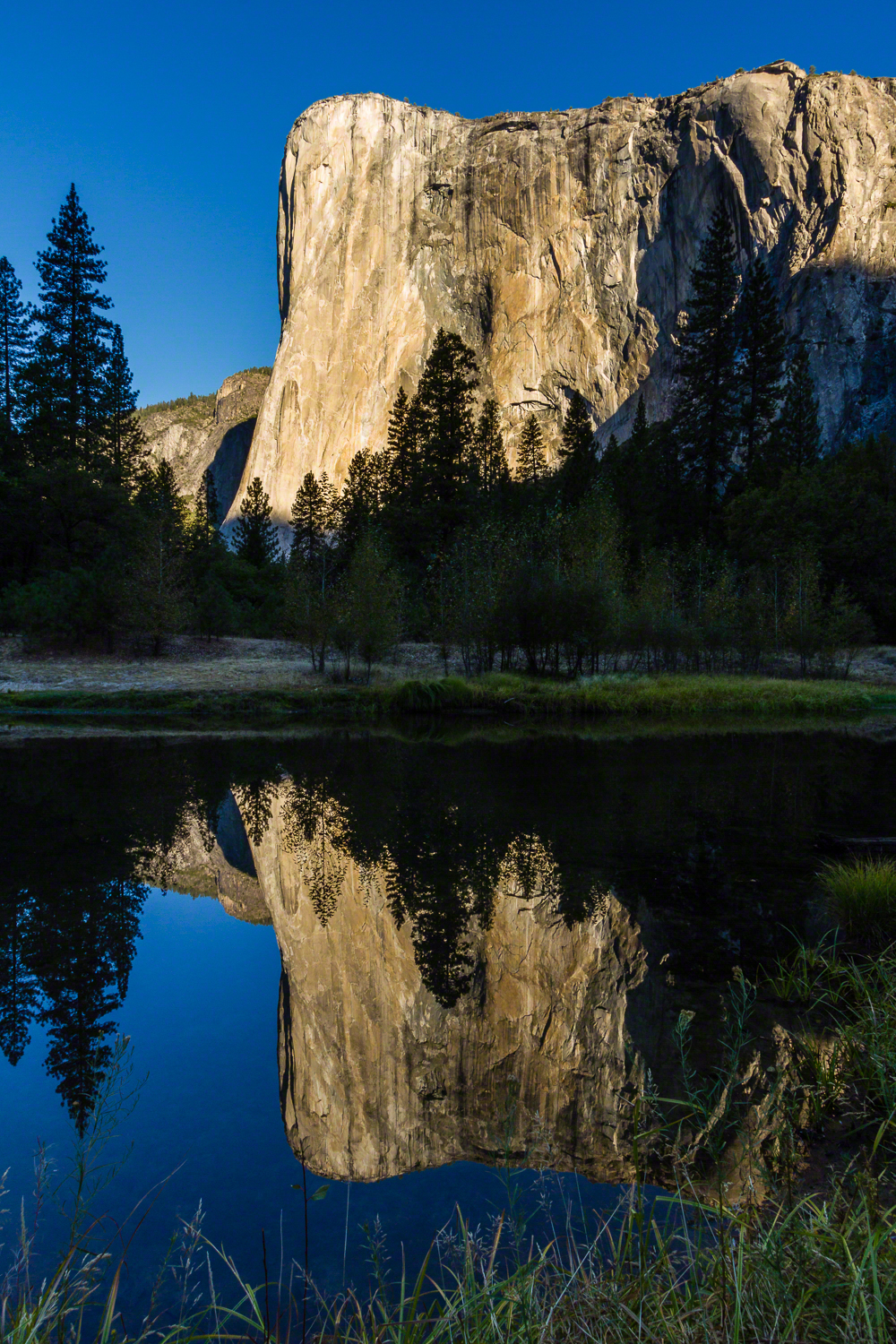 El Capitan Reflection, Yosemite National Park