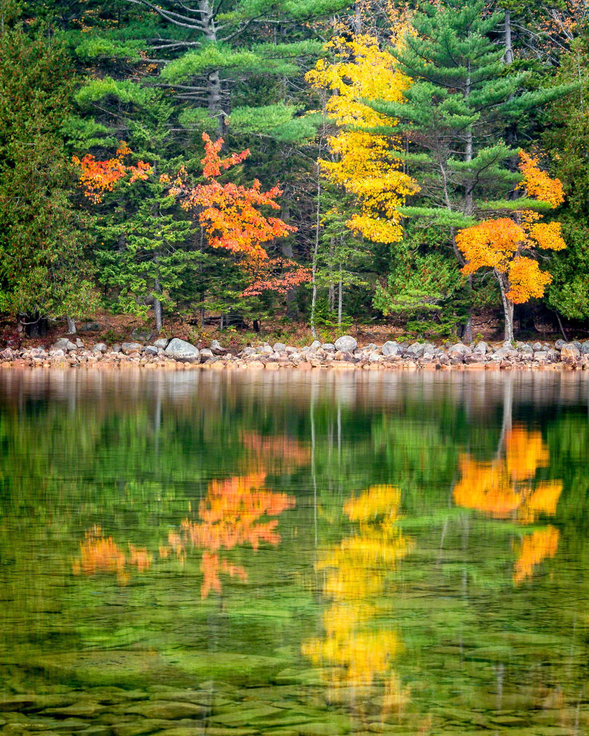 Fall Color Reflctions, Acadia National Park