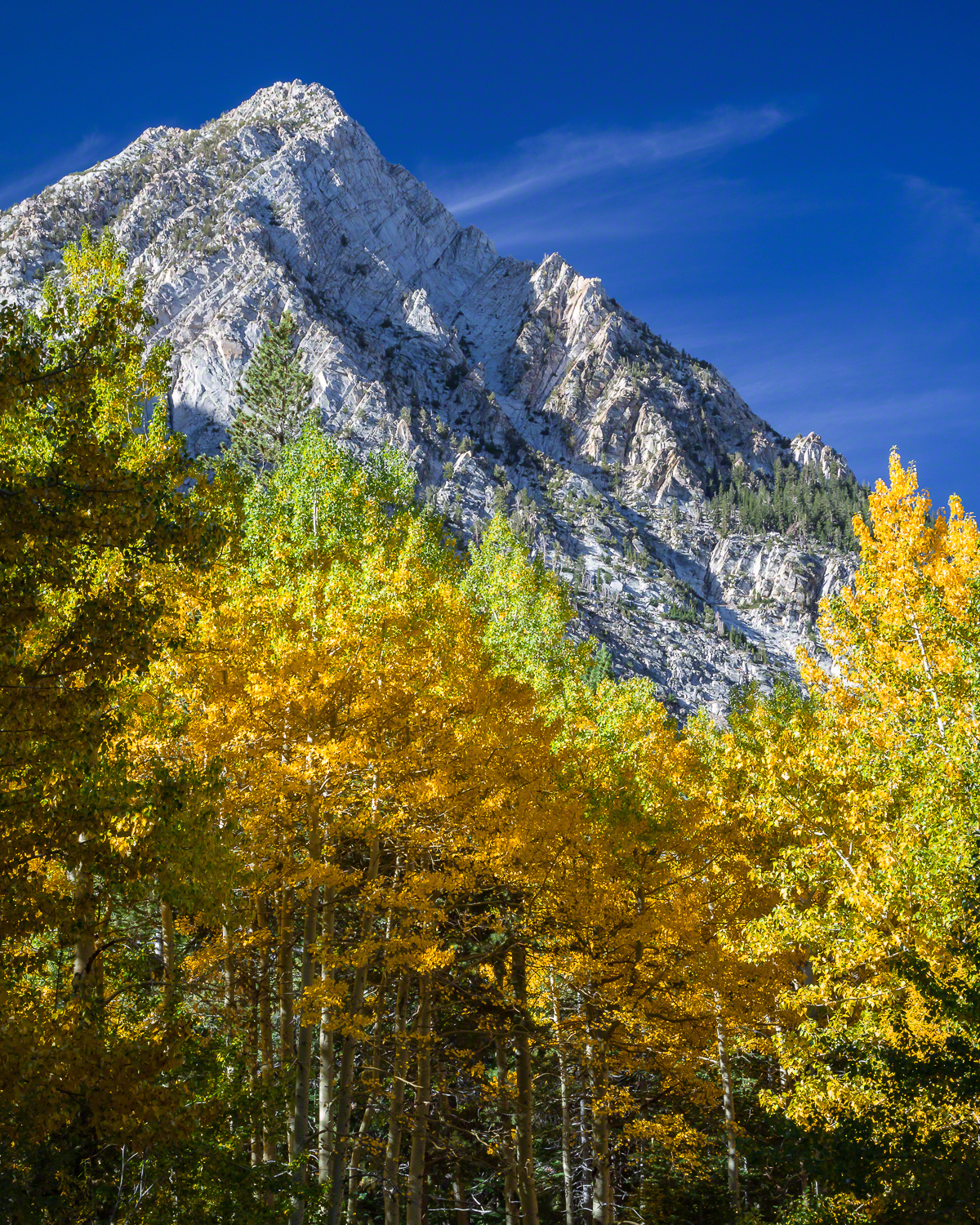 Fall in the High Sierras, Sierra Nevada Mountains