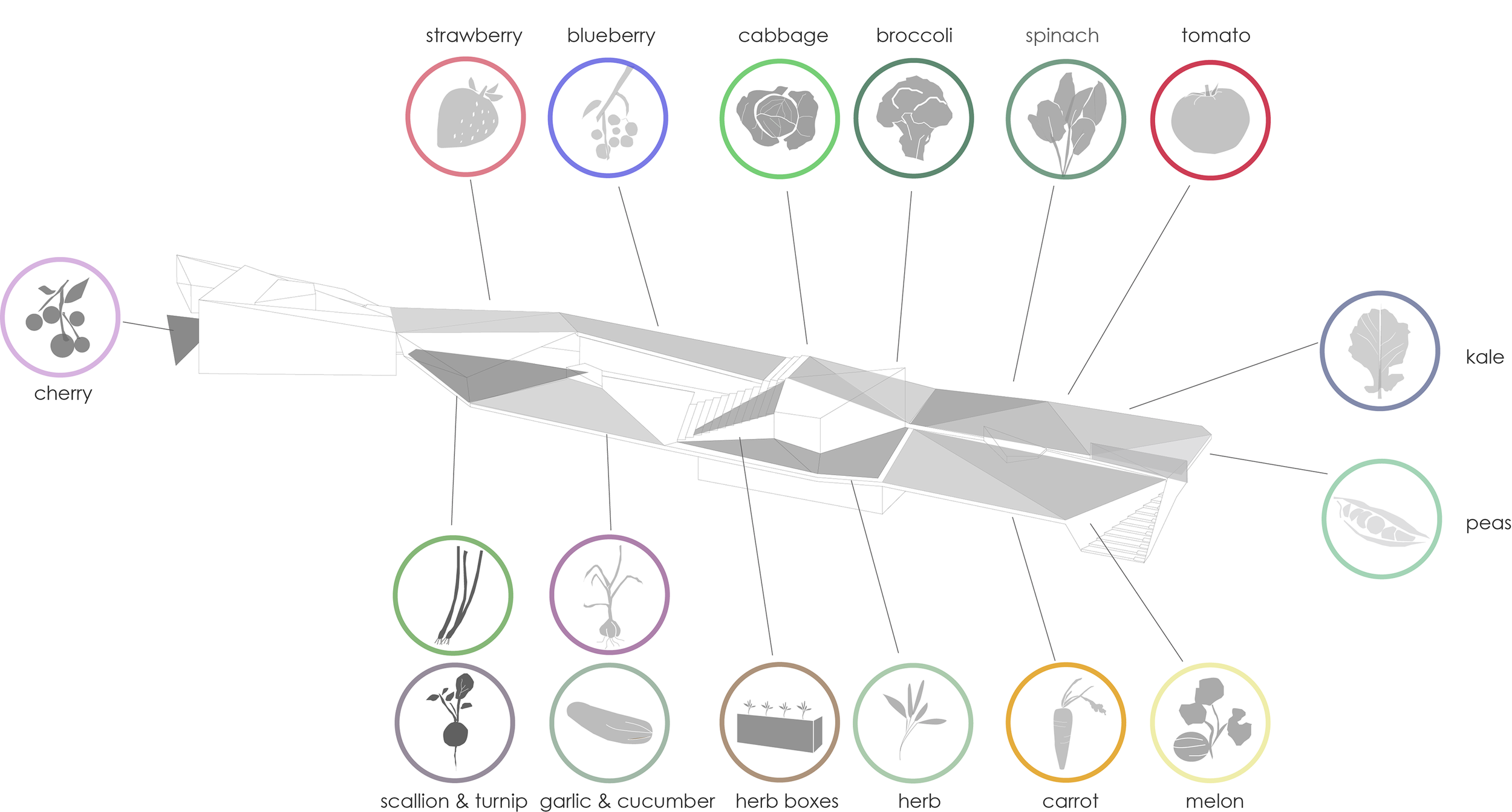 planting diagram web.png