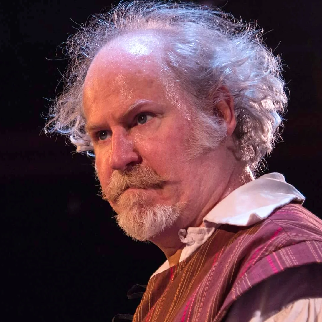 "Among the other scene stealers in this stellar cast...Michael Selkirk makes for a comically tousled Sir Toby Belch..."