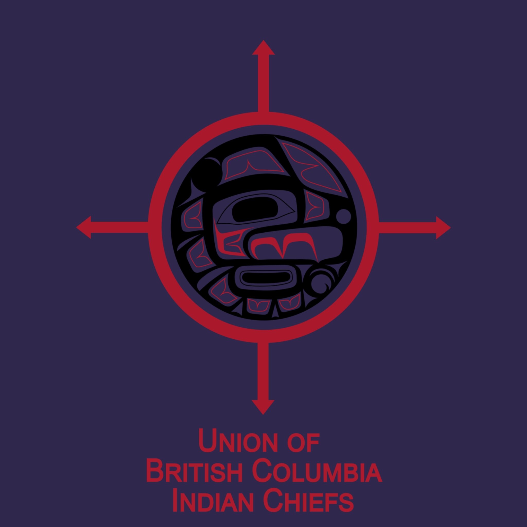 UBCIC logo.jpg