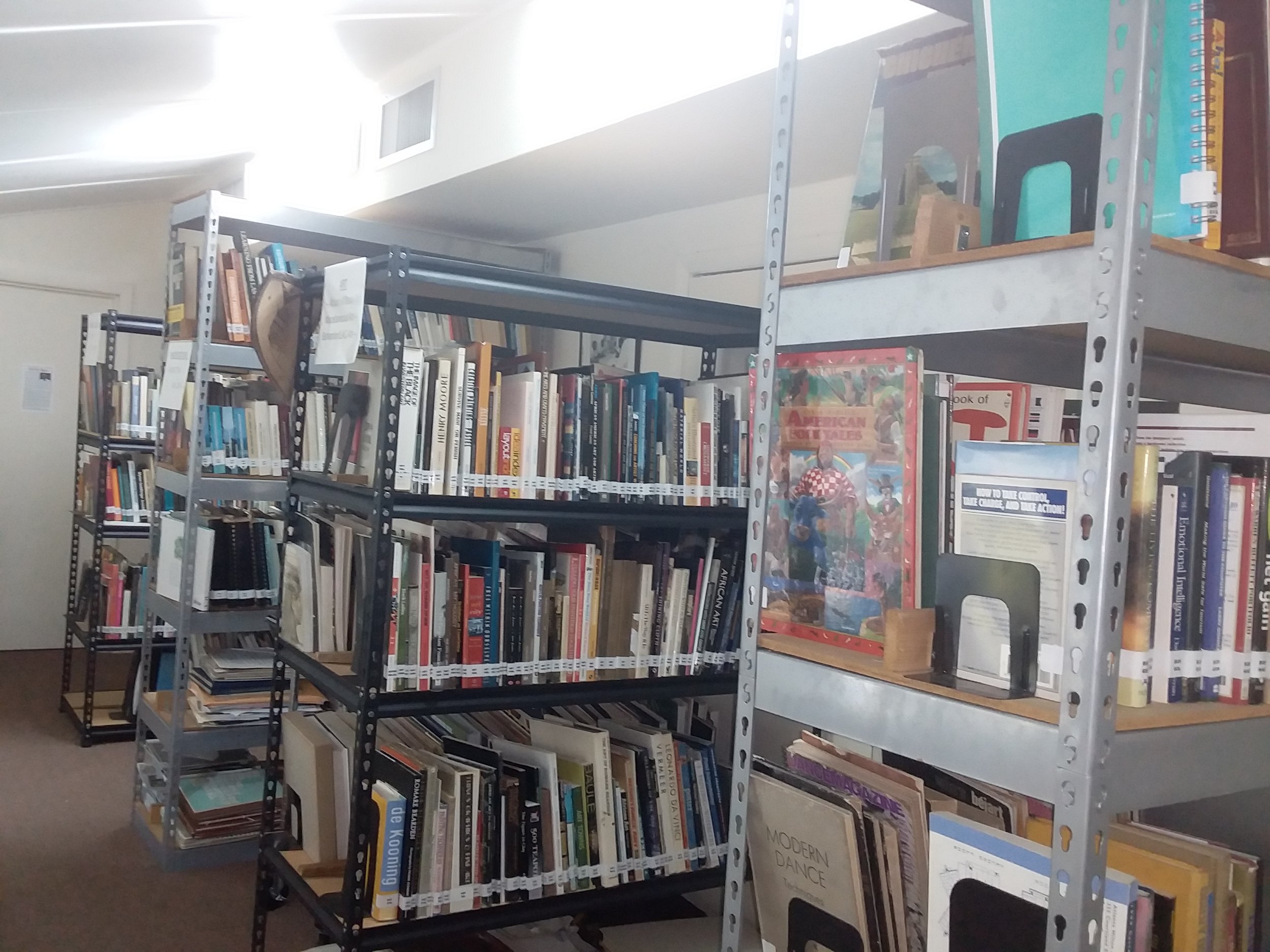 Library stacks showing hundreds of Burnside's collection of books.jpg