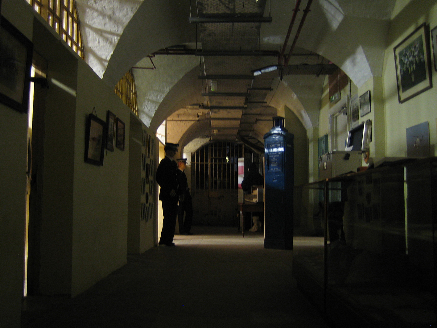 cellsIMG_5214a.jpg