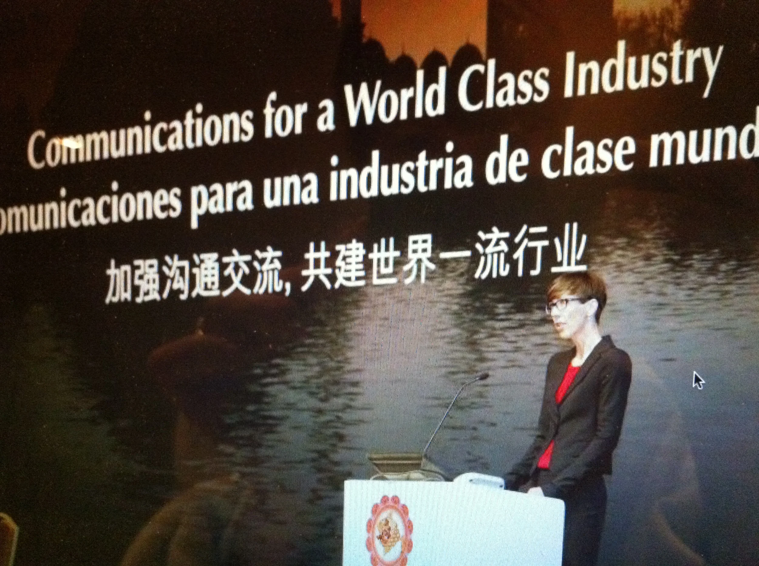 Getting the message across. Delivering a speech about strategic branding to 400 aquaculture business leaders in Istanbul 2012 