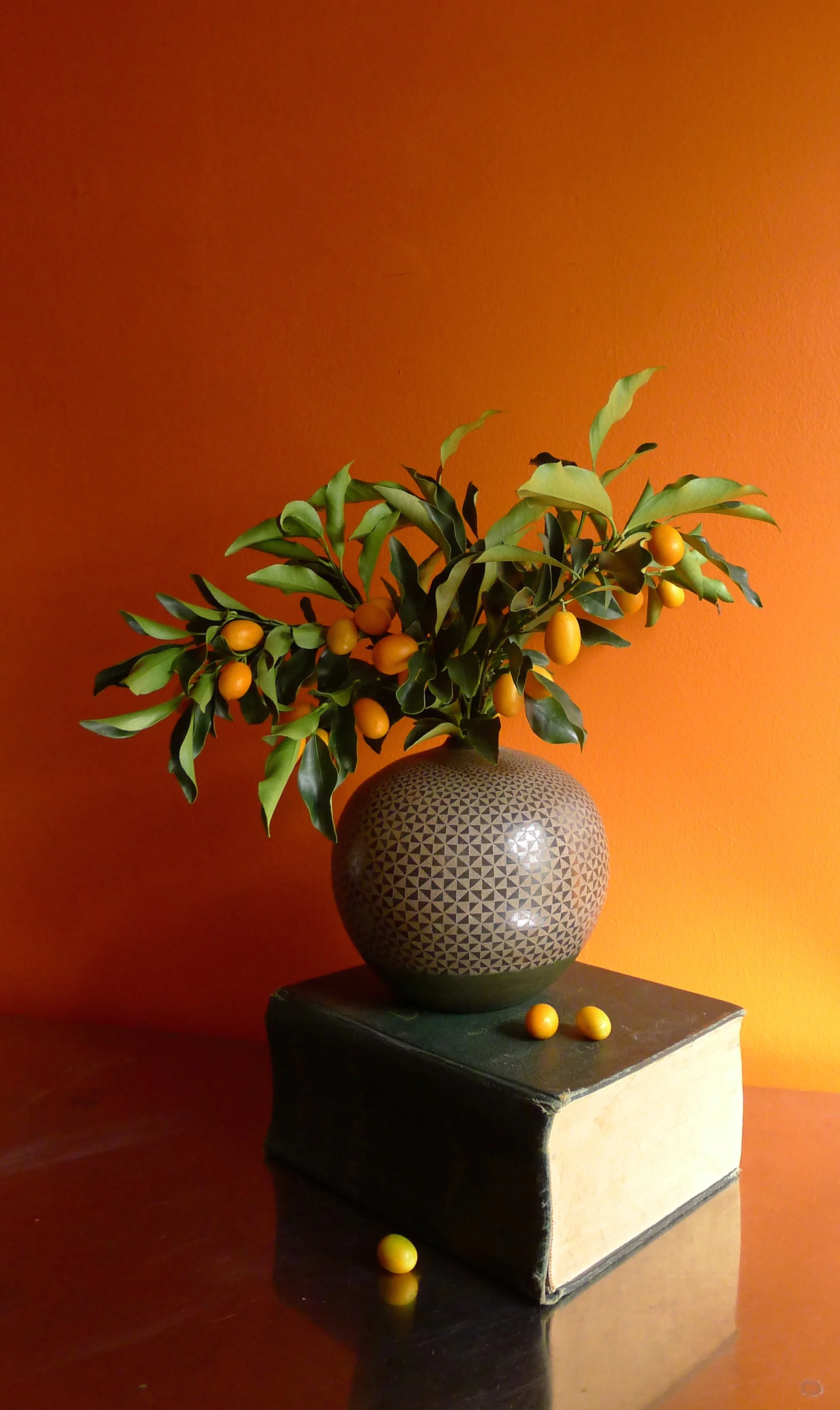 P1150025.jpg