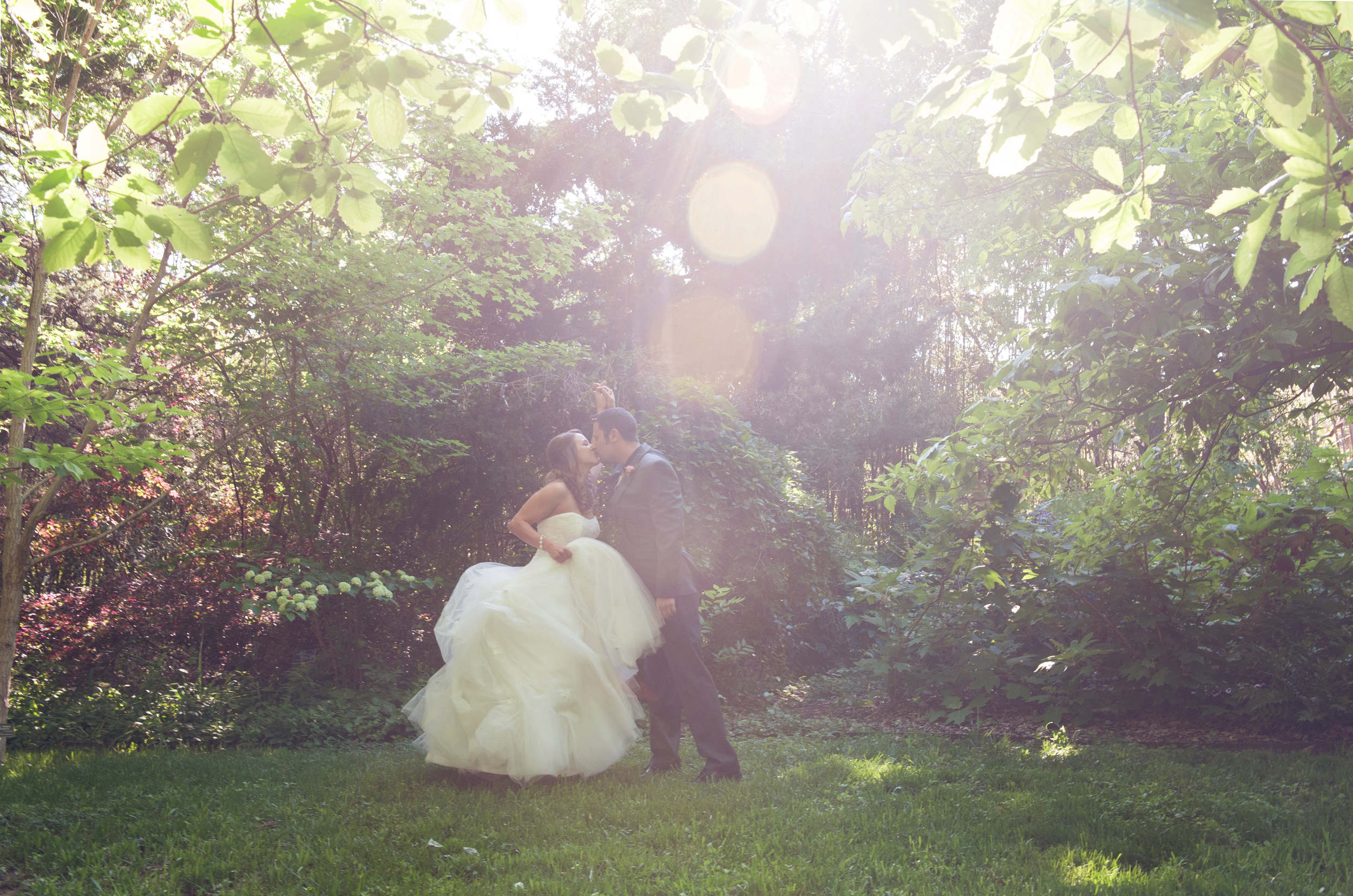 WedDallas.jpg