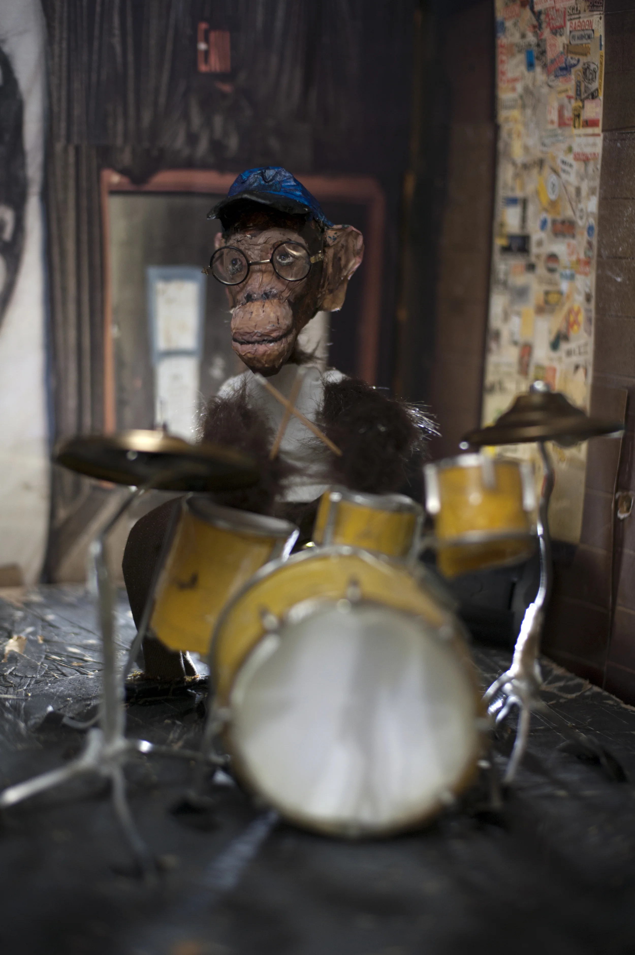 monkey.jpg