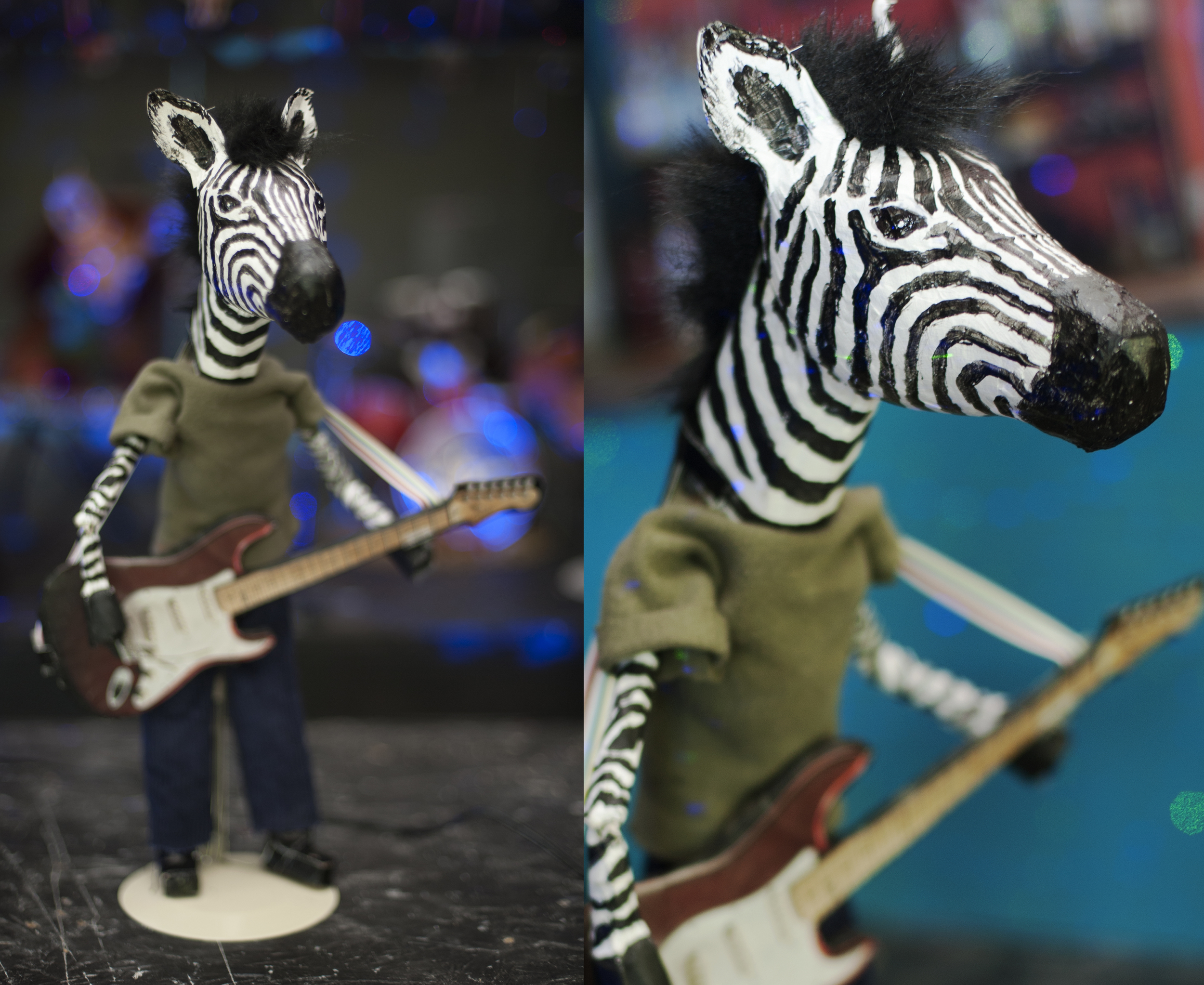 zebra.jpg