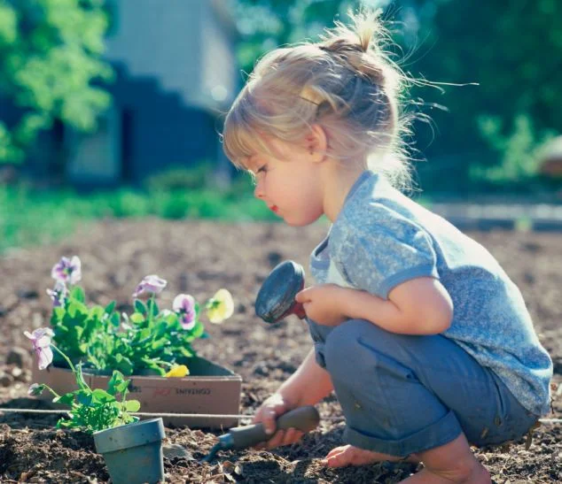 End of Season Garden Clean Up Day
