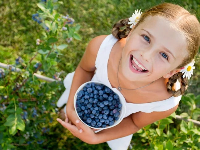 Berry Picking at Smolak Farms