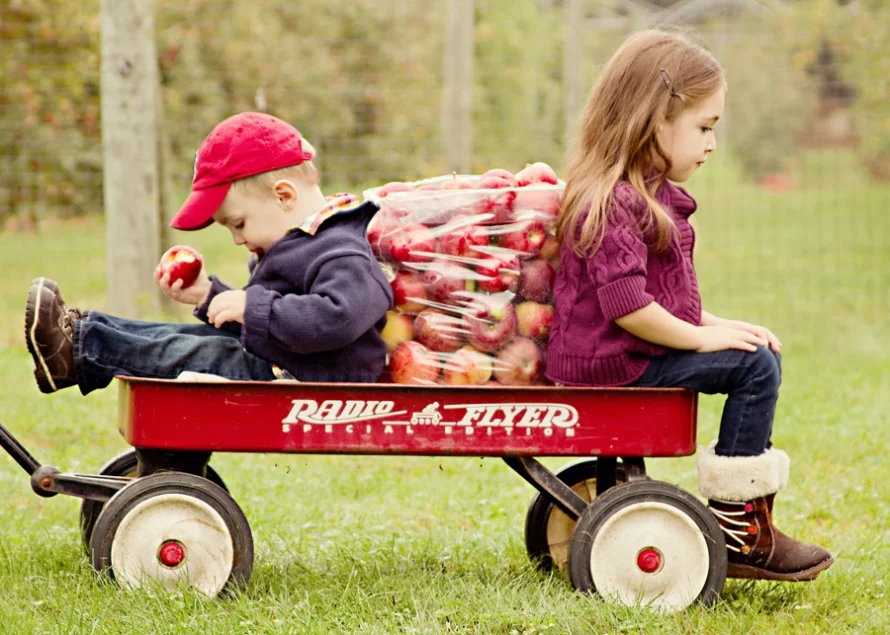 LMG Family Apple Picking Outing 