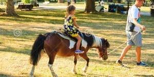 PARK, PONIES, PETTING ZOO, AND PLAYGROUND: LMG CELEBRATES SUMMER!