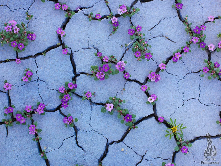Be Kind, Be Gentle: Channeled Message &amp; Exercises
