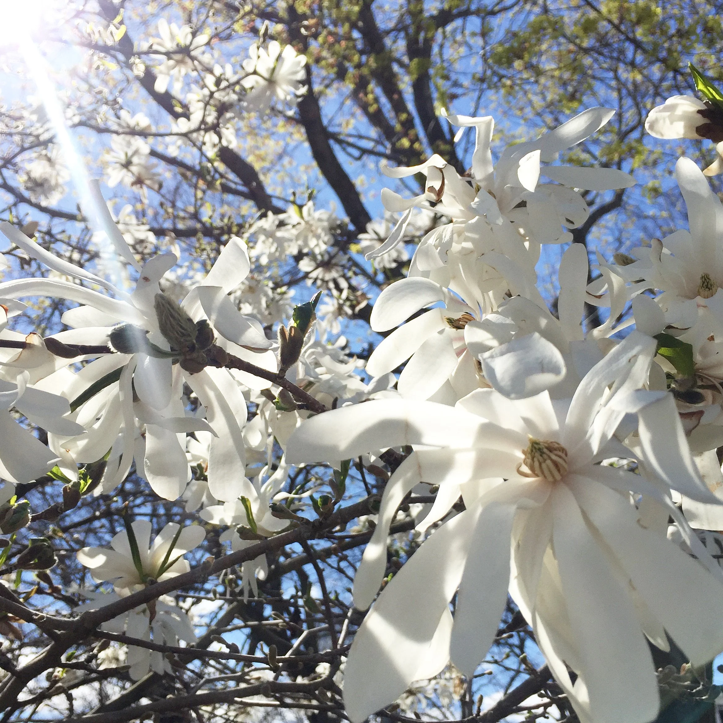 Compassion for Self-Criticism: Channeled Message